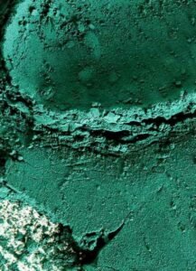 Poudre de spiruline – ingrédient cosmétique naturel revitalisant